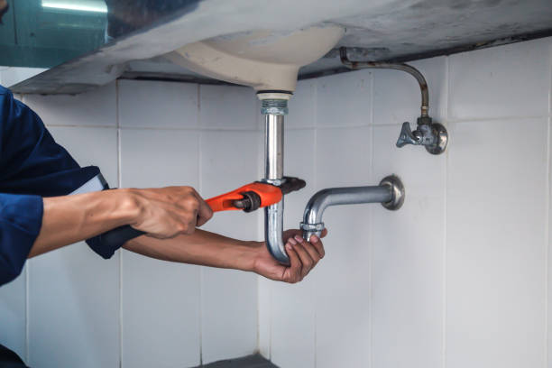  Paw Paw, MI Plumbing Pros
