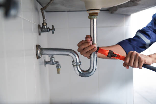 Best Plumbing Inspection Services  in Paw Paw, MI