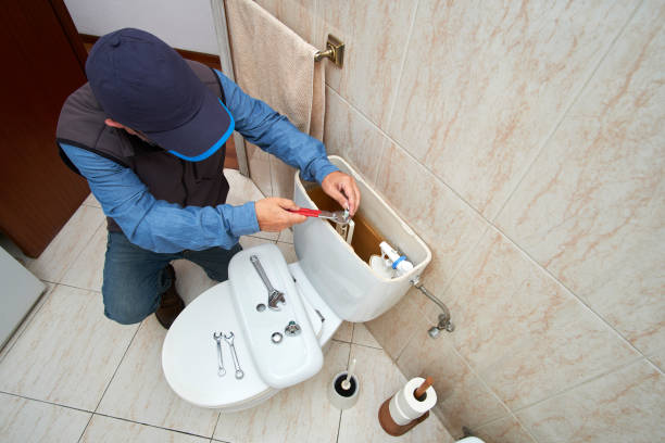 Best Local Plumber Services  in Paw Paw, MI