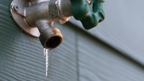 Best Affordable Plumber Near Me  in Paw Paw, MI