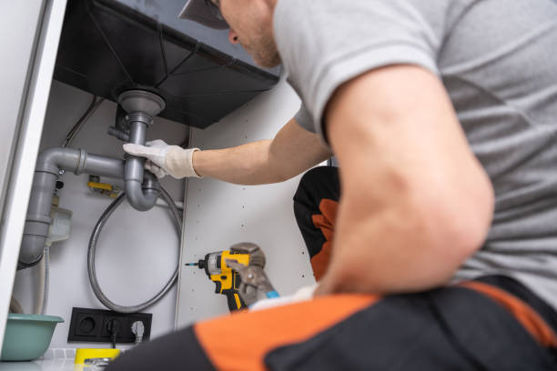 Best Commercial Plumbing Services  in Paw Paw, MI