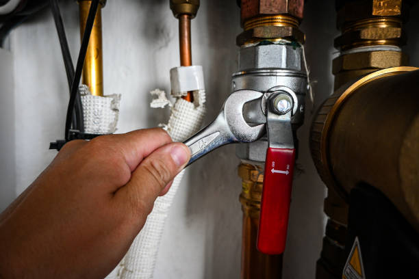 Best Plumbing Installation Services  in Paw Paw, MI